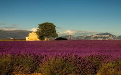 Provence : l’art de vivre entre luxe, bien-être et nature