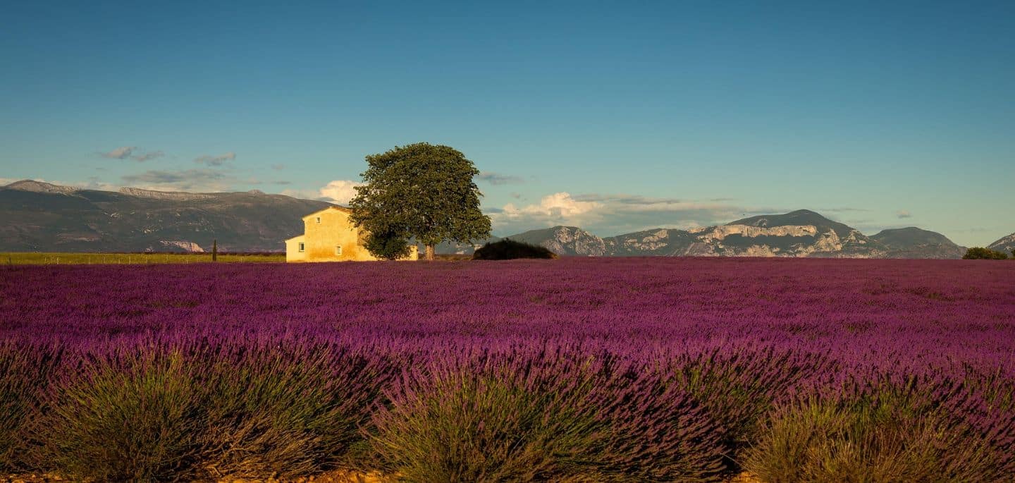 La provence