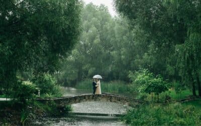 Mariage champêtre dans le Nord : nos conseils pour une décoration naturelle et élégante