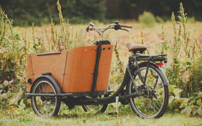 Le mariage éco-responsable : comment dire oui en respectant la planète ?